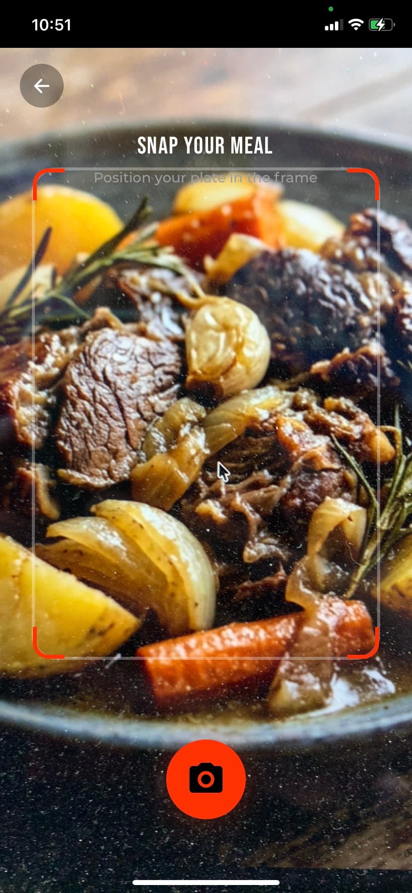 Logging a meal with a photo of your plate